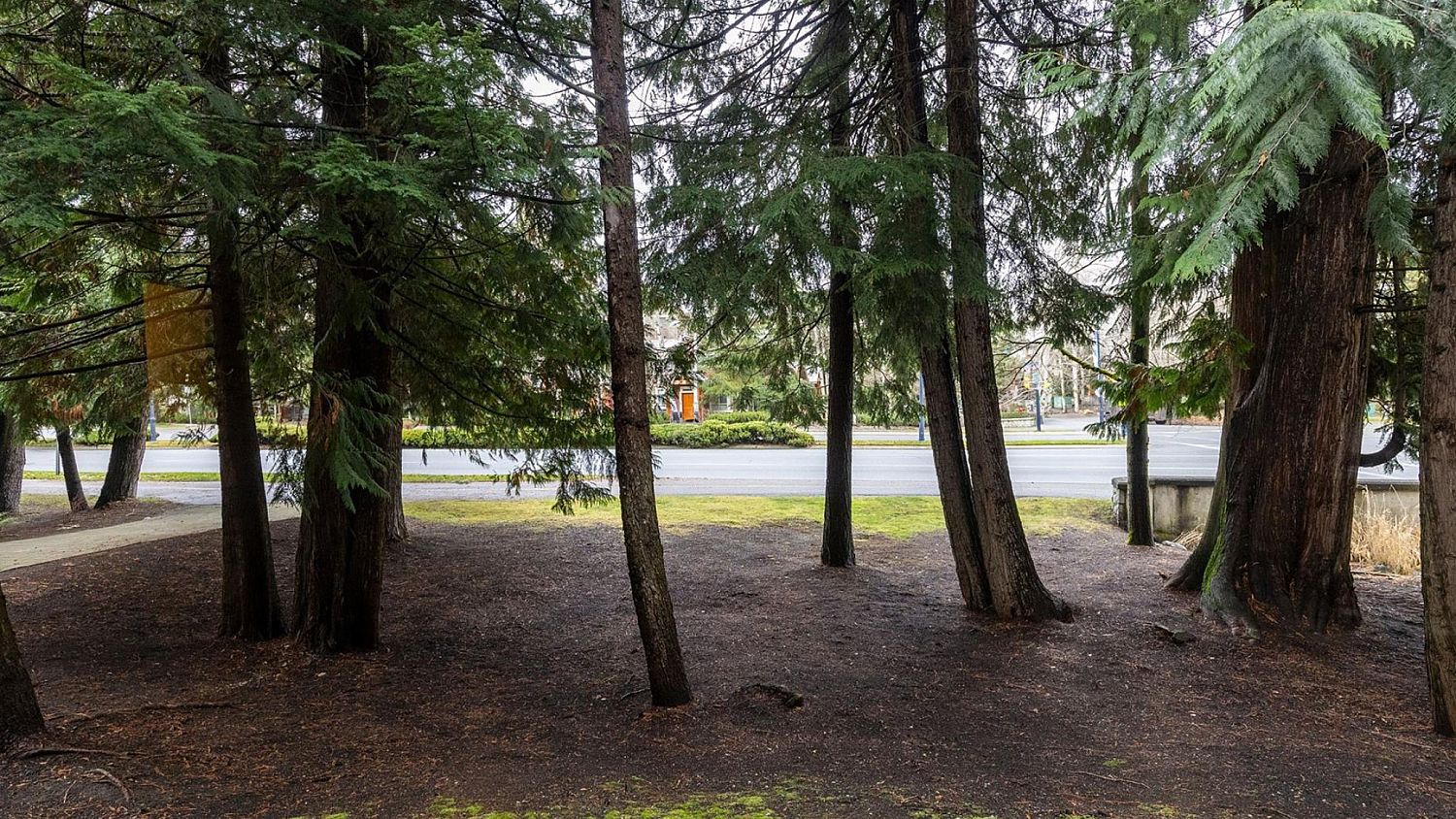 105 Northlands Residences