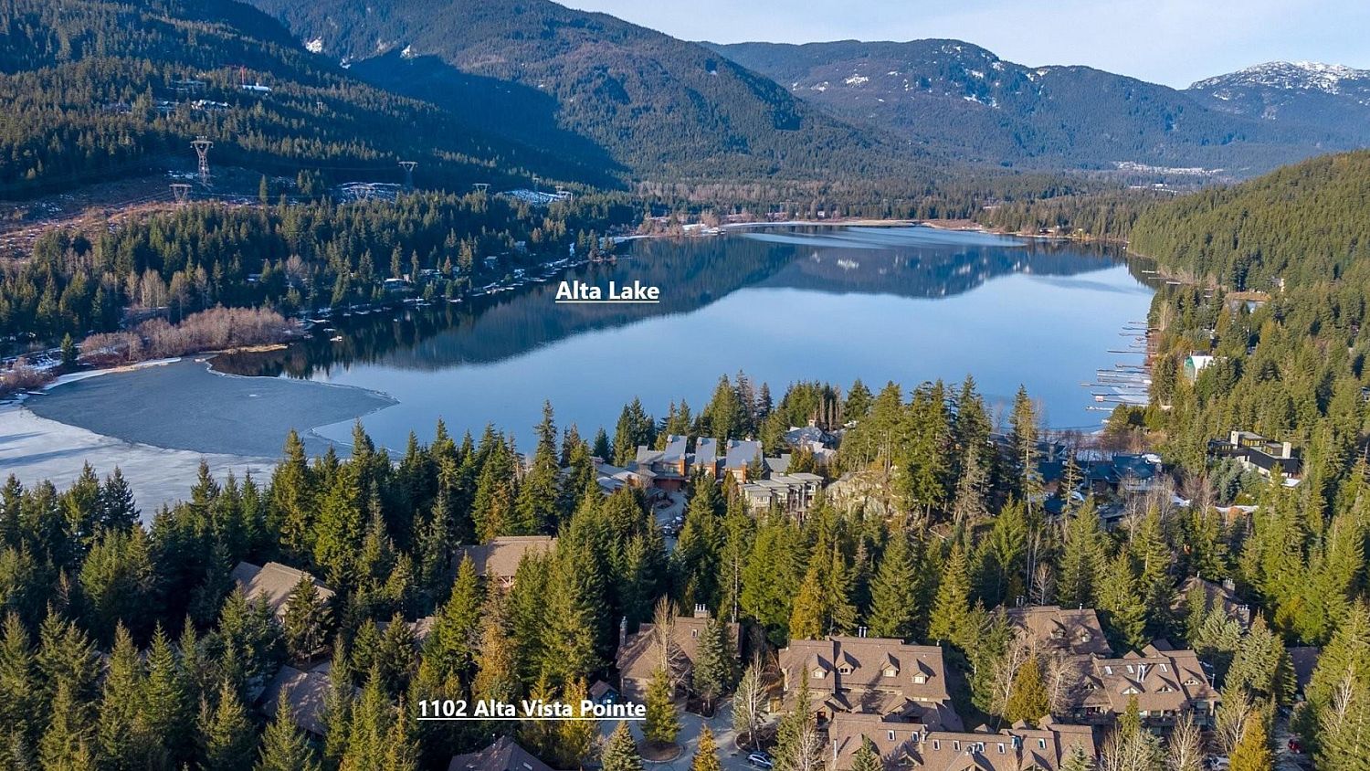 1102 Alta Vista Point