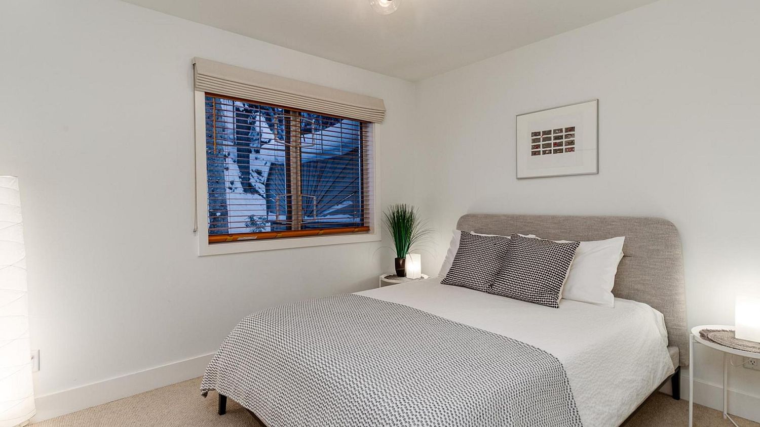 12 Powderwood NEW
