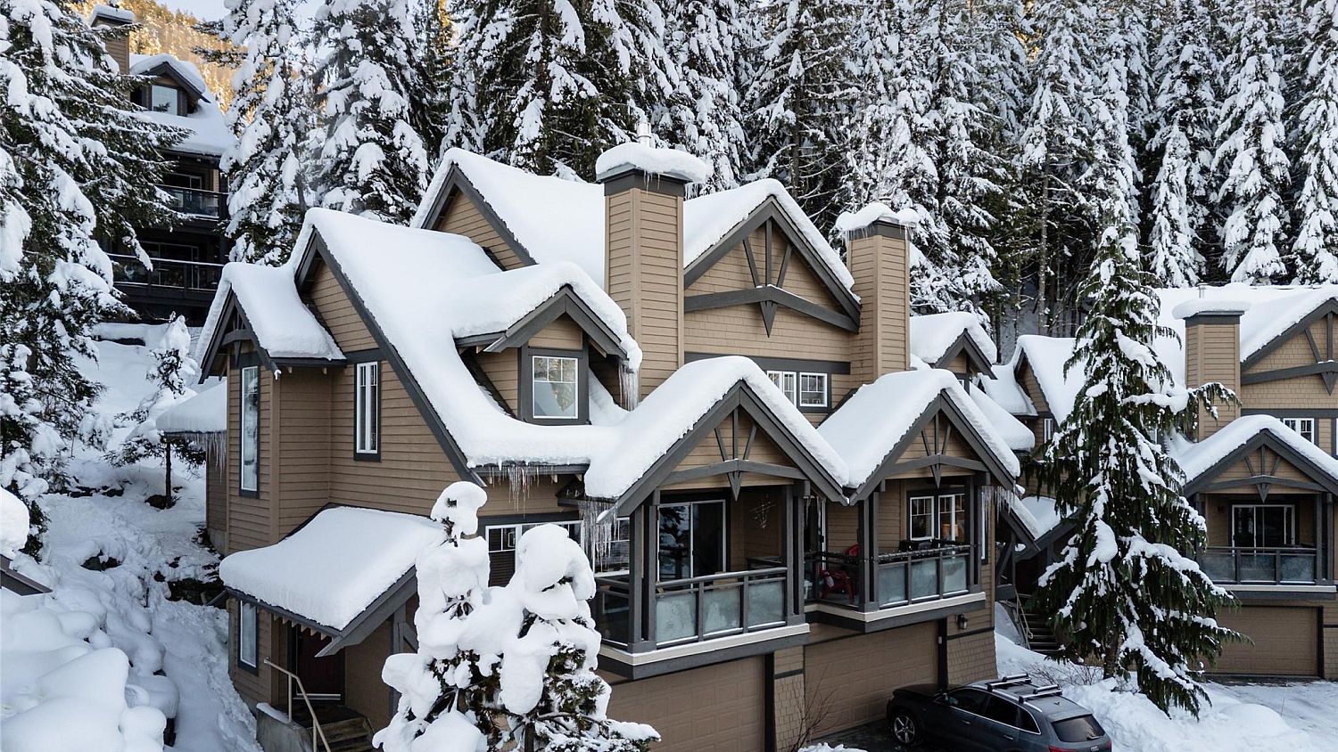 12 Powderwood NEW
