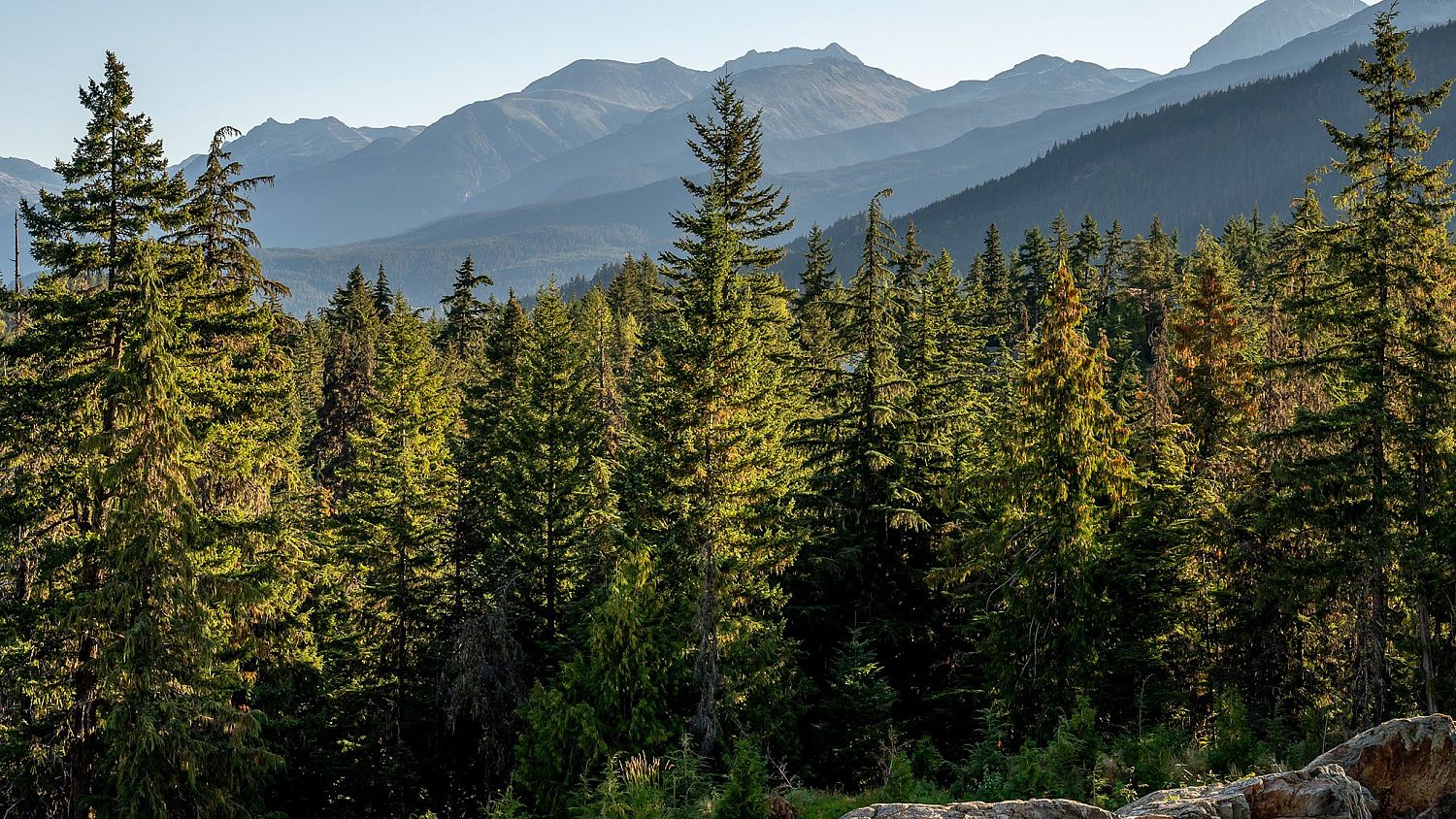 1625 Southlands Lane