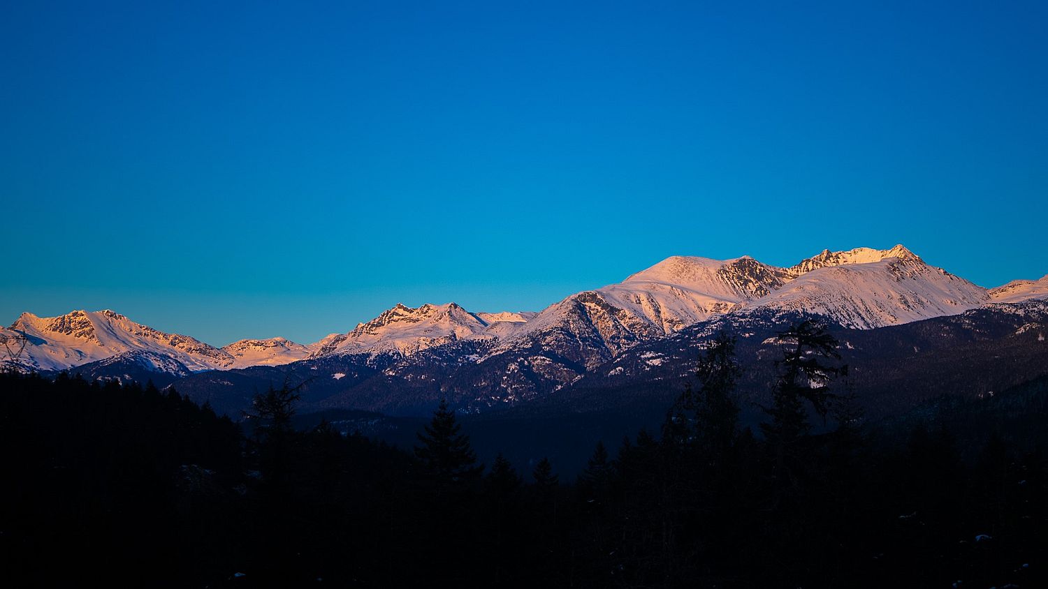 1625 Southlands Lane