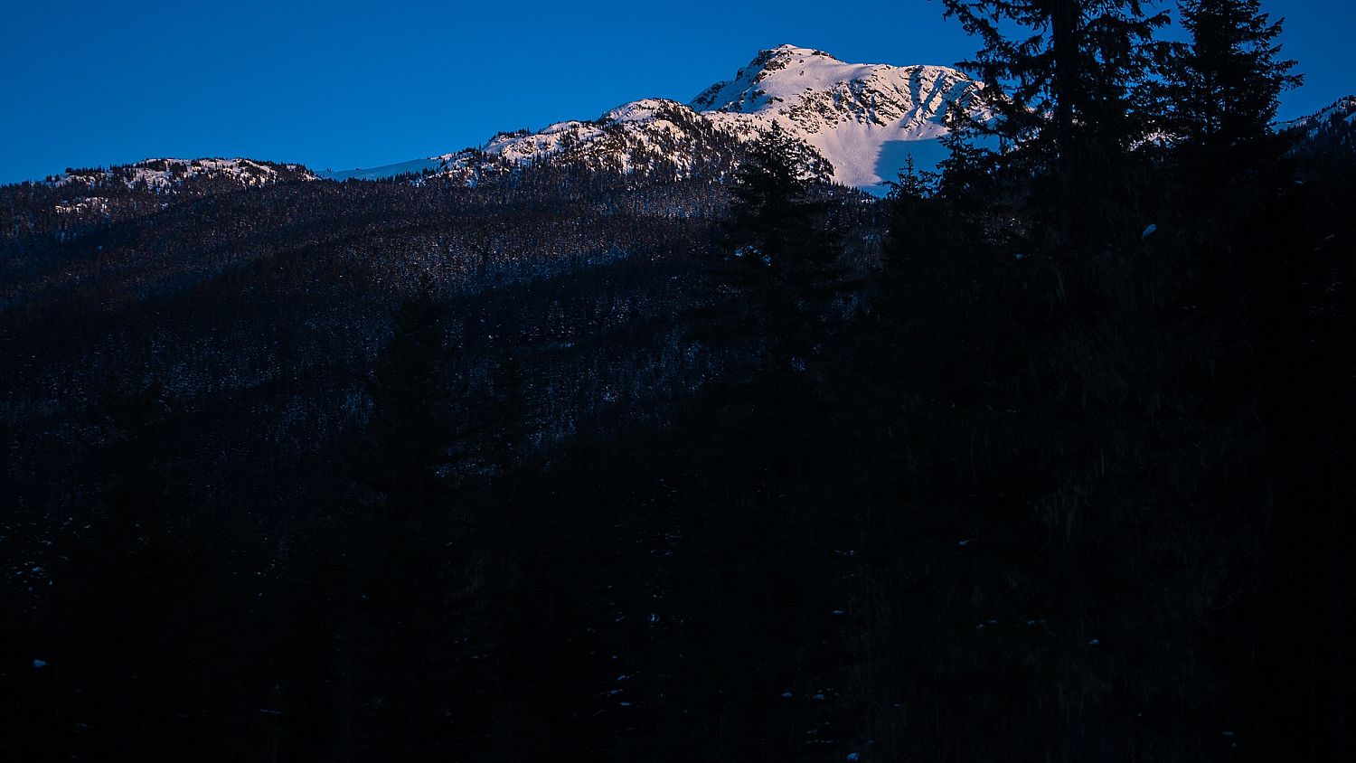 1625 Southlands Lane