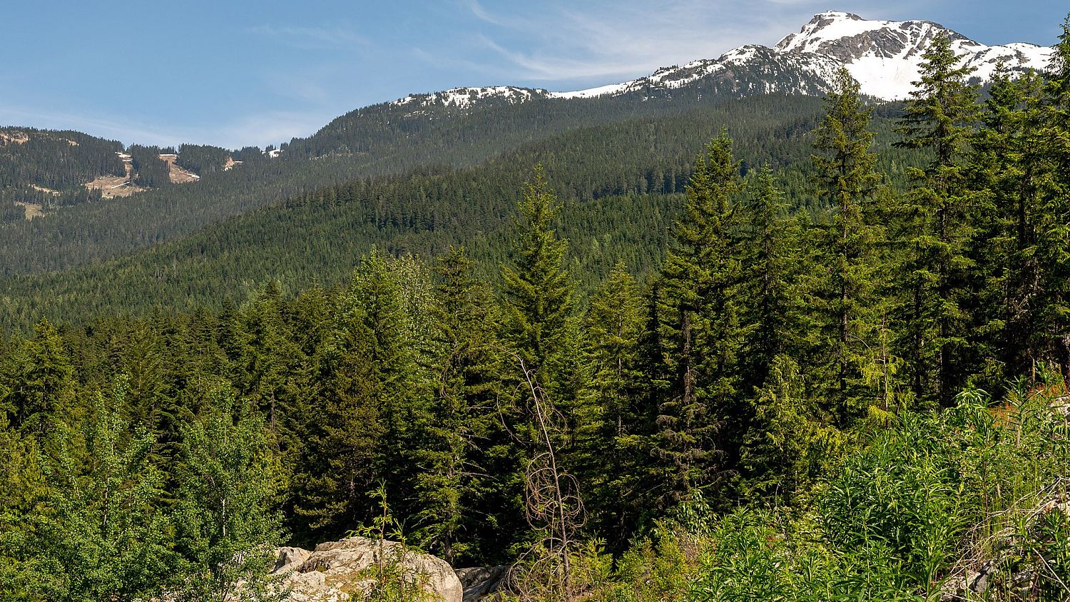 1625 Southlands Lane