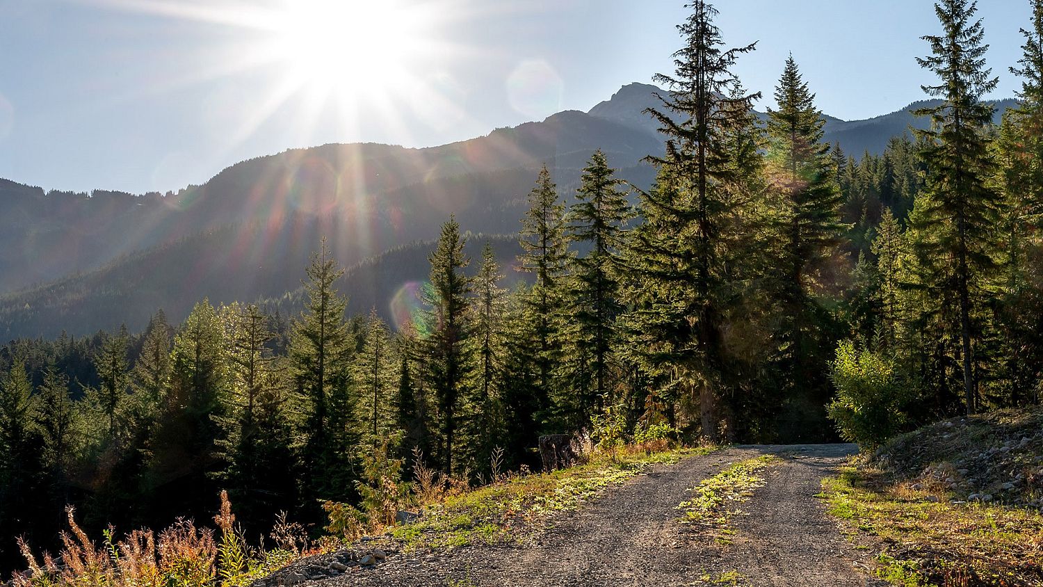 1625 Southlands Lane