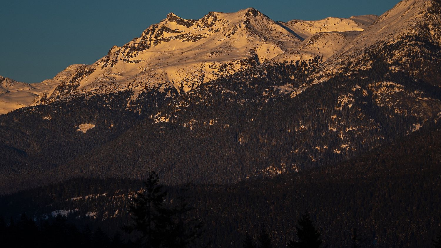 1625 Southlands Lane