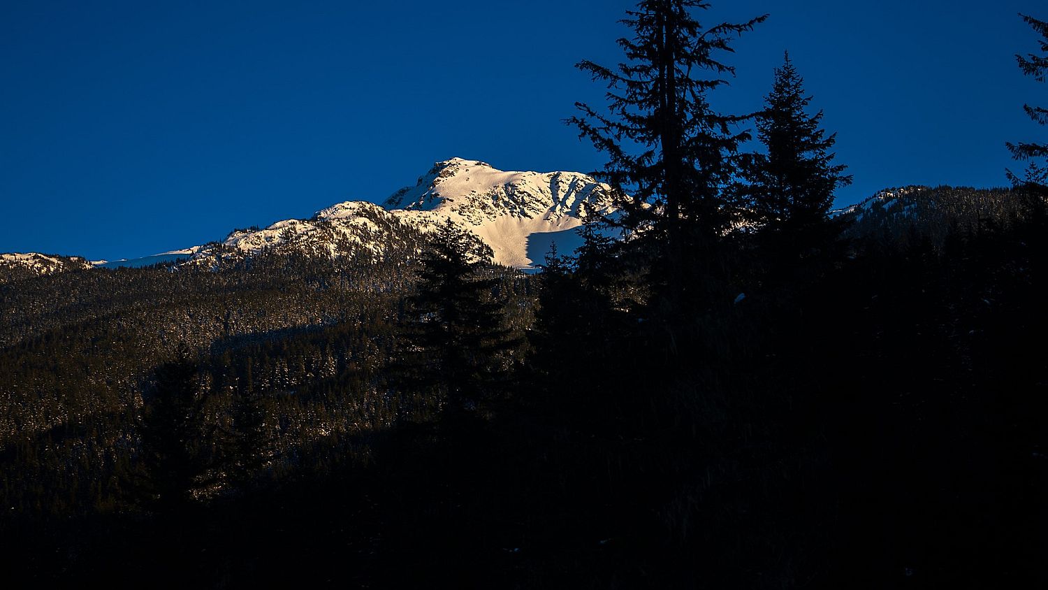 1625 Southlands Lane