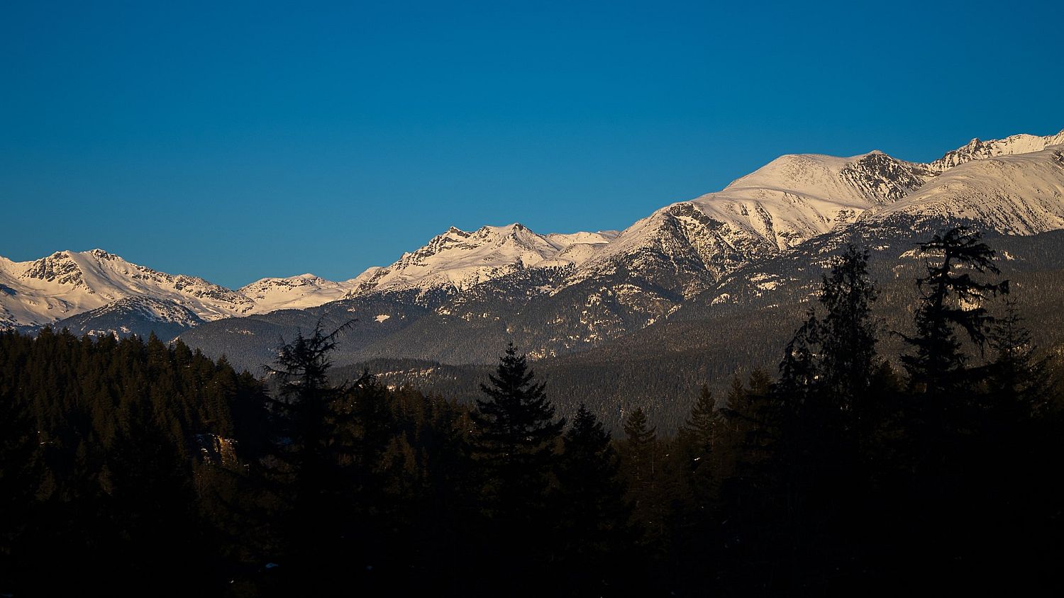 1625 Southlands Lane