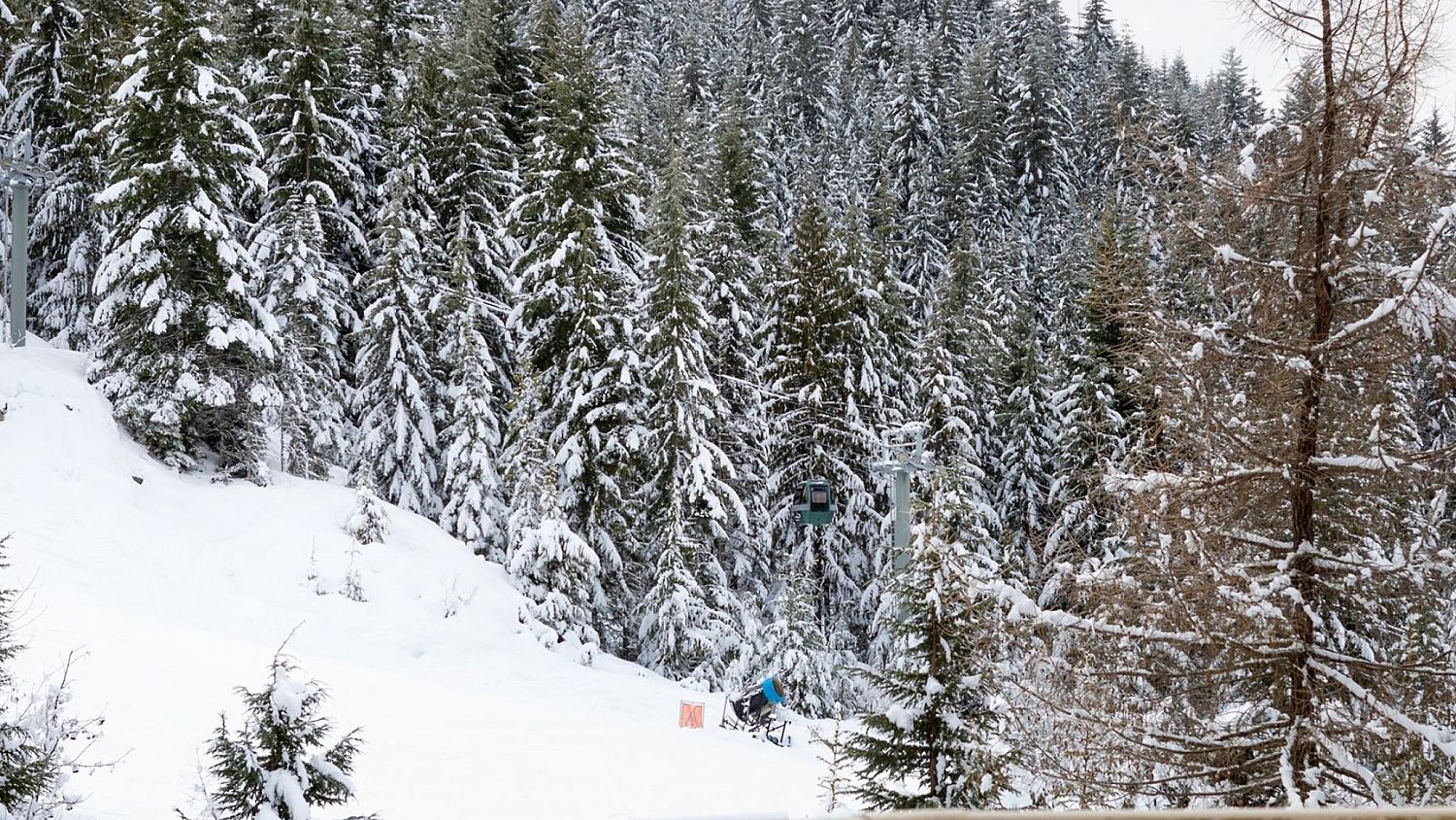 2566 Snowridge Crescent