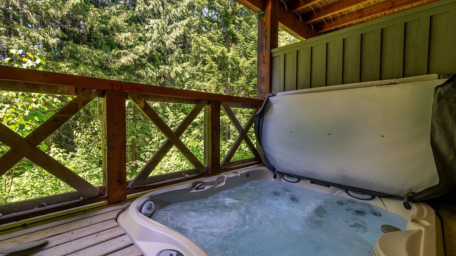 3 Forest Creek