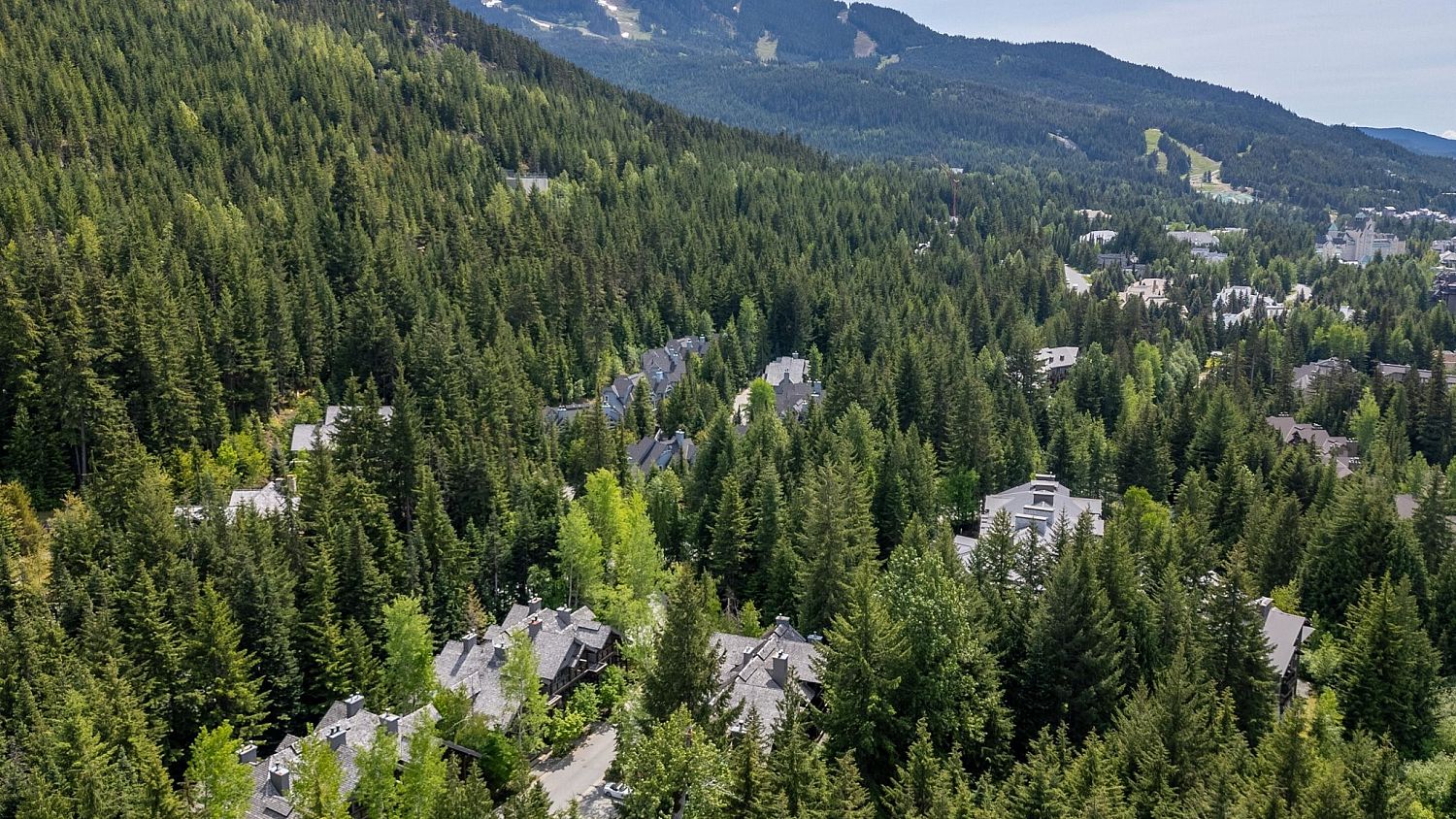 3 Forest Creek