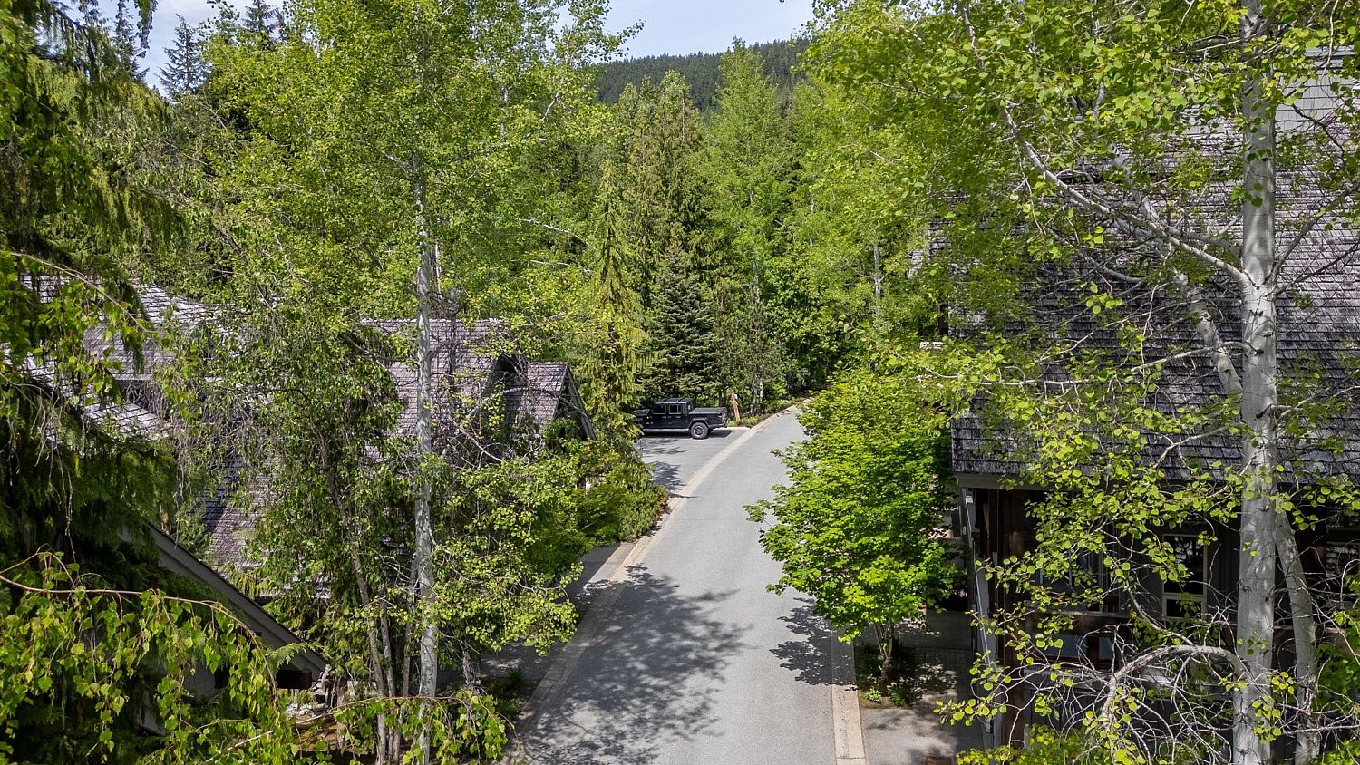 3 Forest Creek