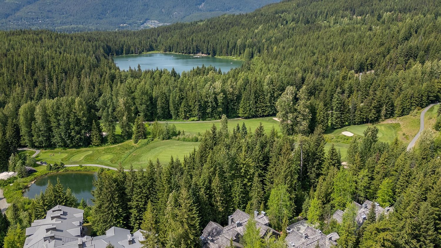 3 Forest Creek