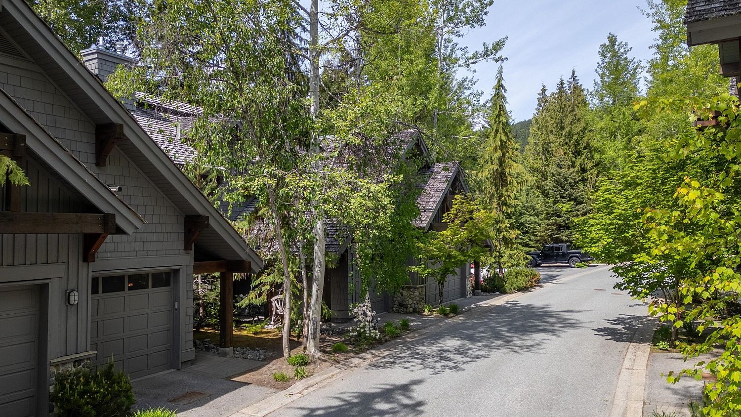 3 Forest Creek