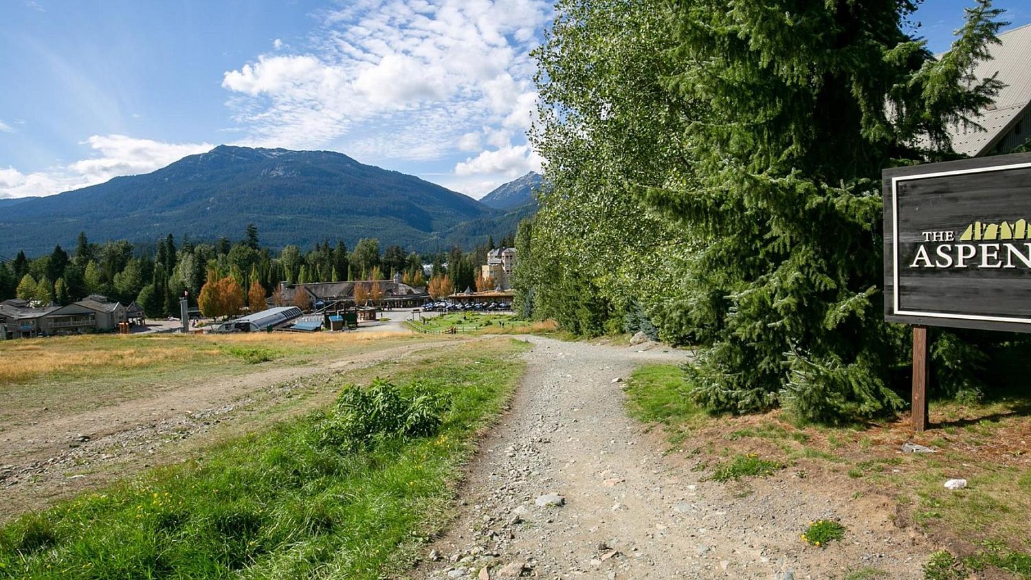 347 Aspens NEW