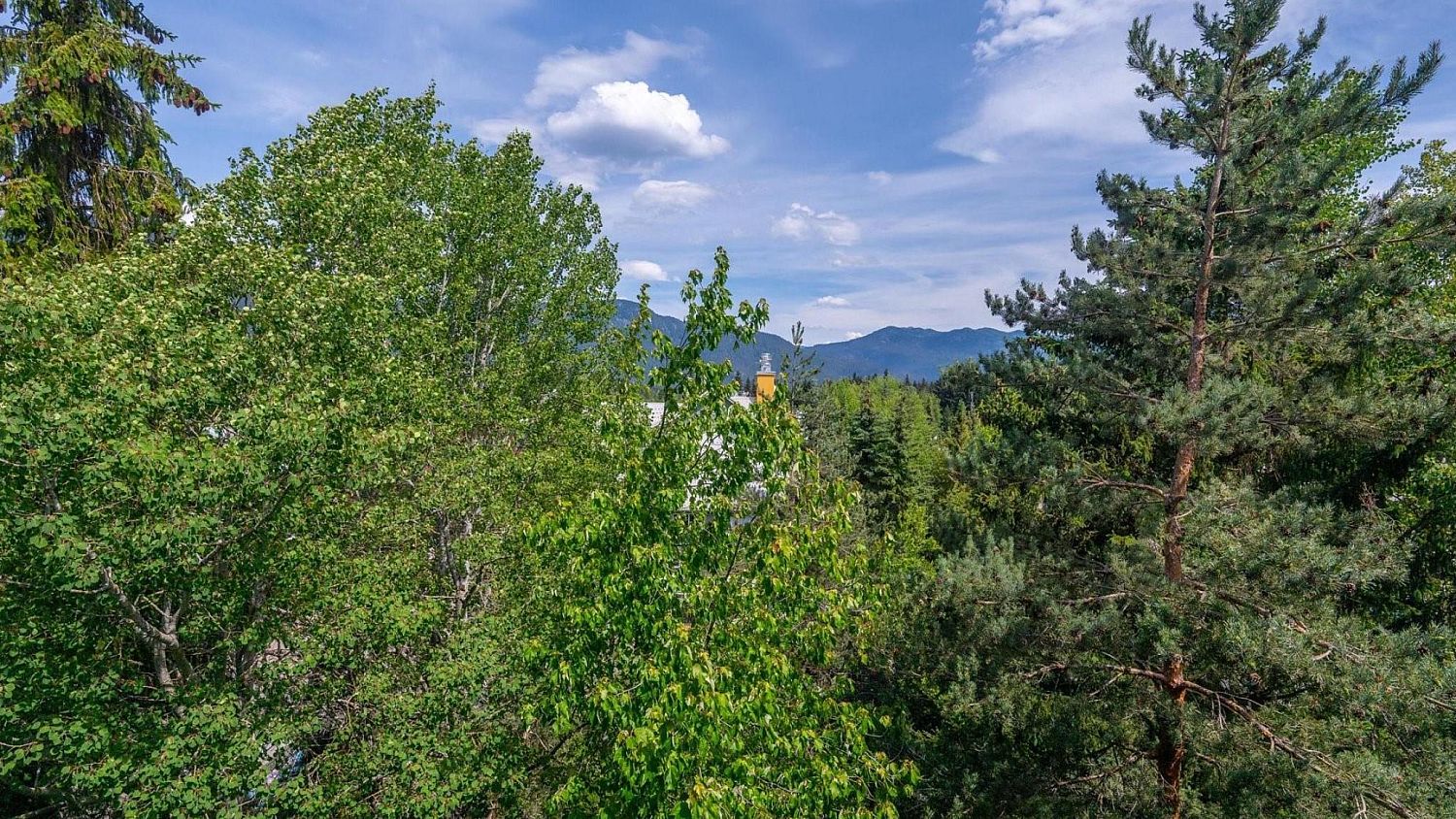 616 Whistler Peak Lodge