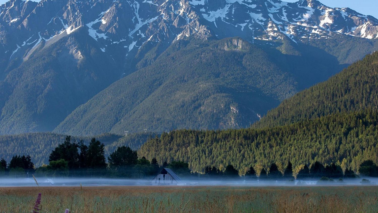 7631 Pemberton Meadows Rd