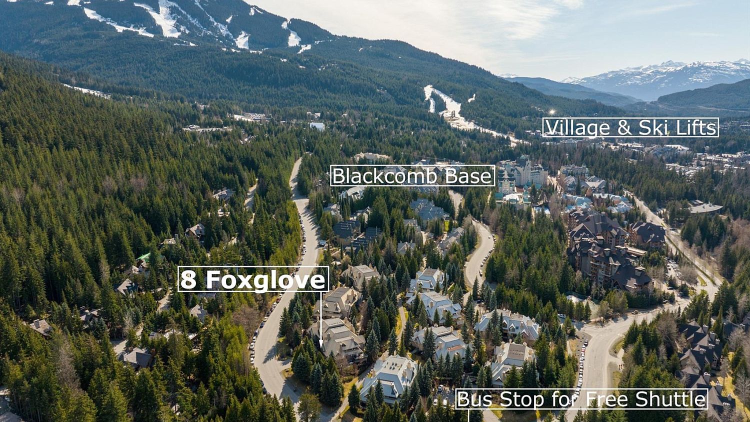 8 Foxglove