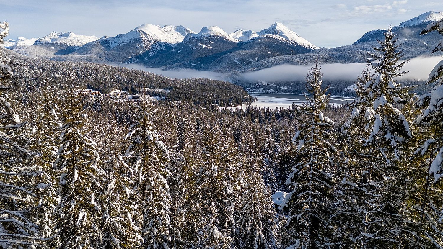 8377 Mountain View Drive