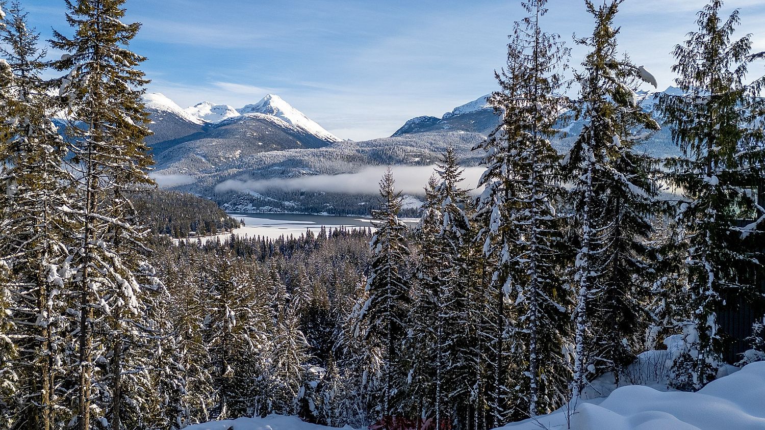 8377 Mountain View Drive