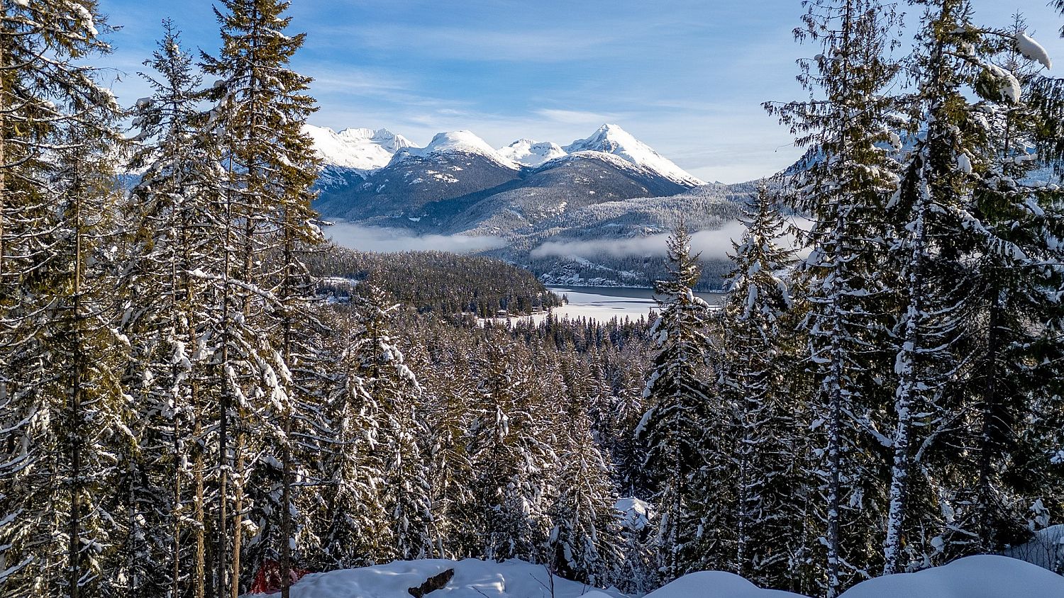 8377 Mountain View Drive