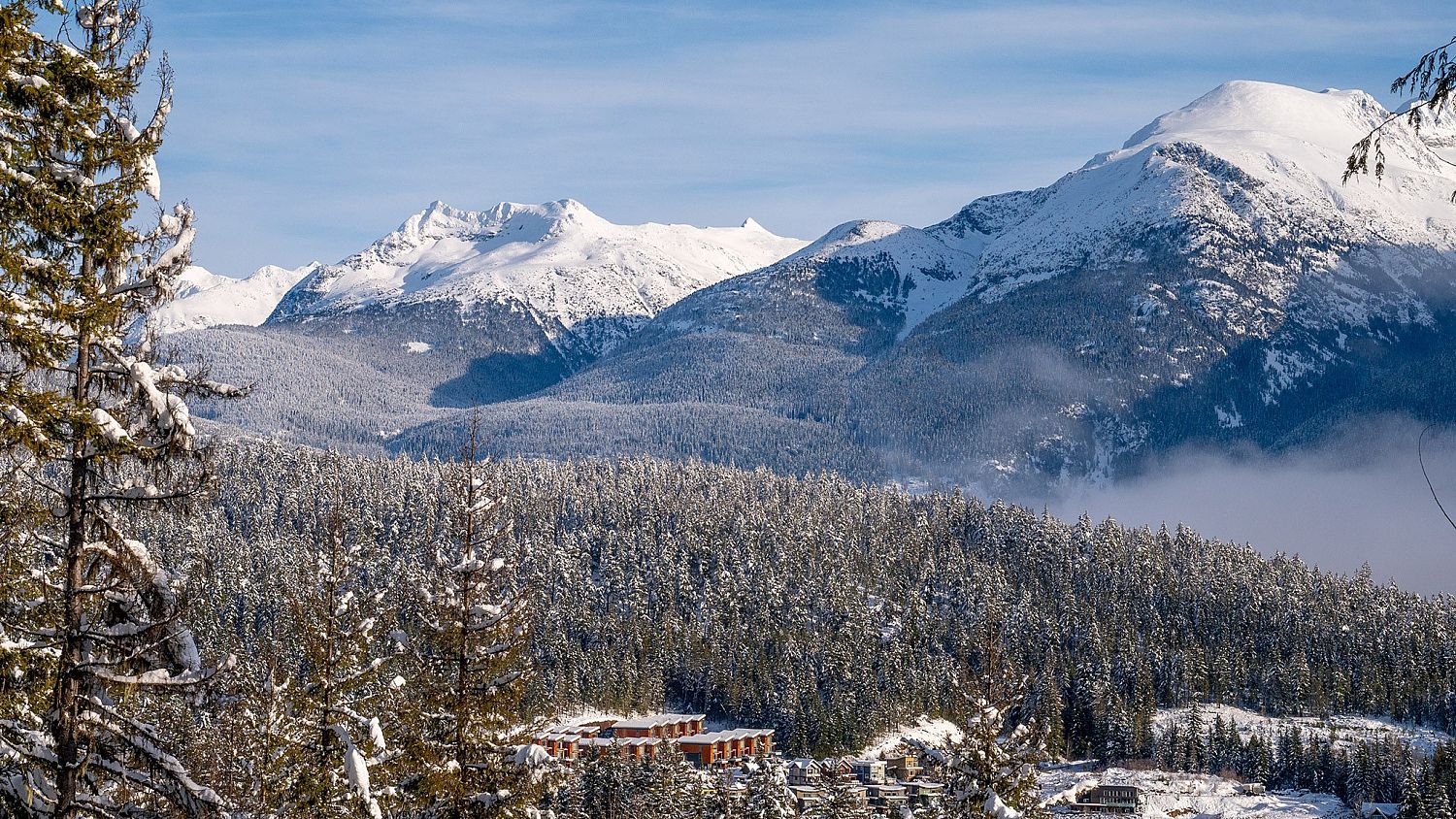 8377 Mountain View Drive