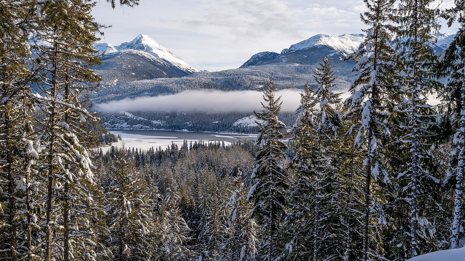 8377 Mountain View Drive