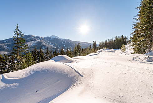 5450 Stonebridge Drive