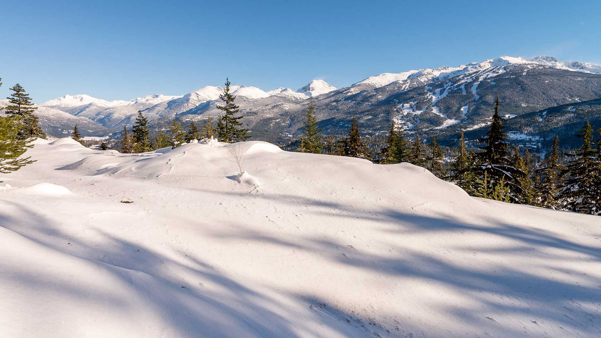 Stonebridge Estate Acreage