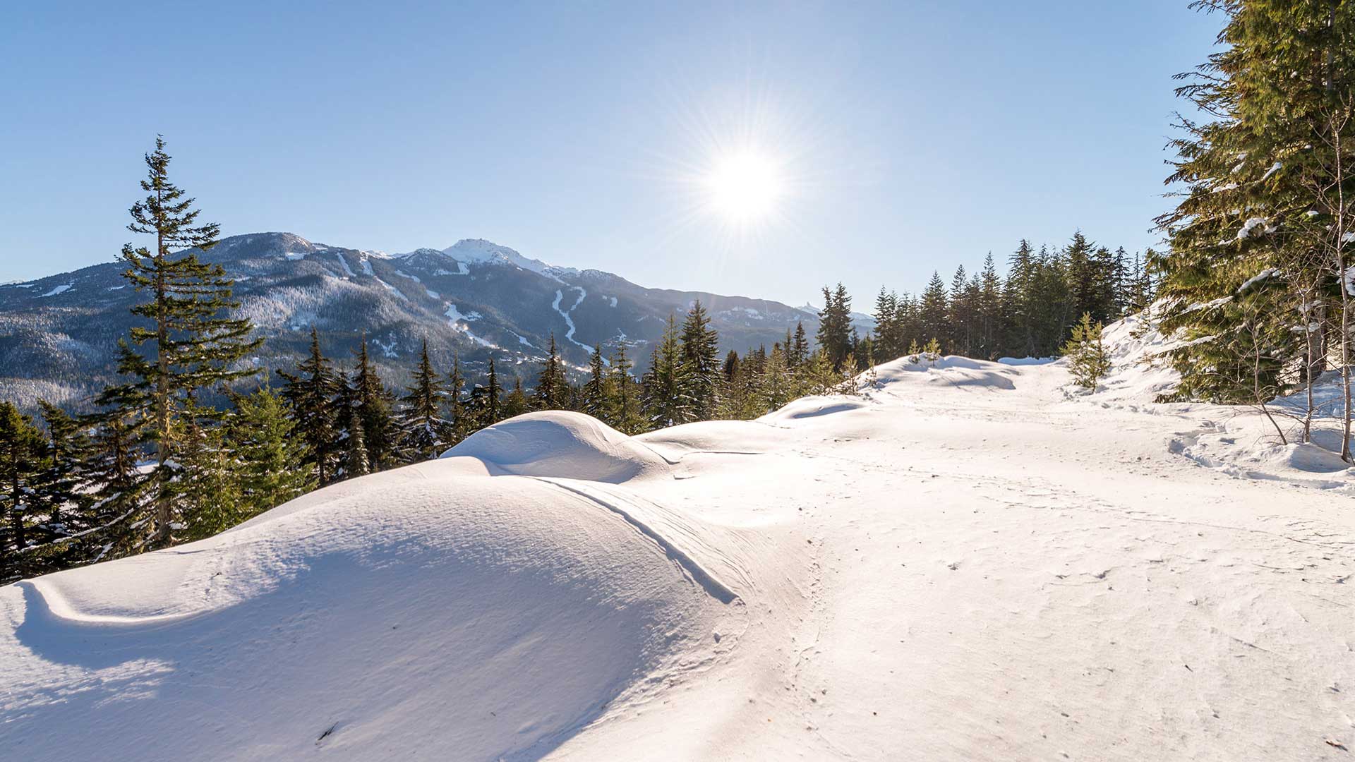 Stonebridge Estate Acreage