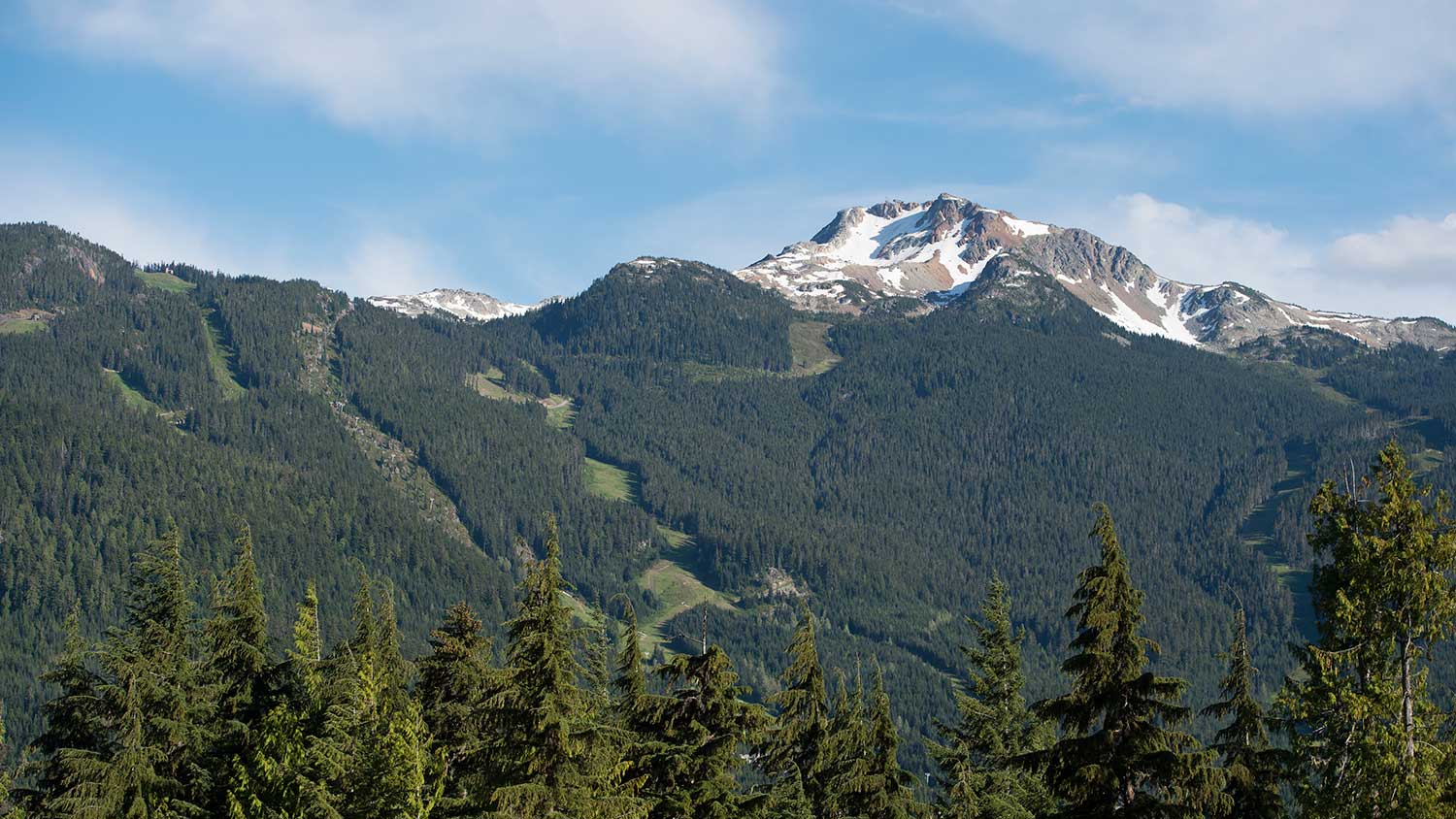 Stonebridge Estate Acreage