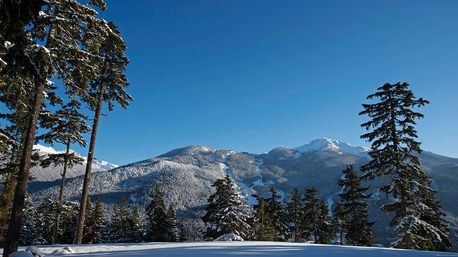 Stonebridge Estate Acreage