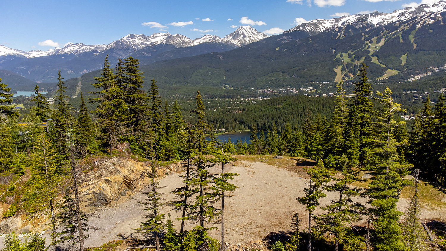 Whistler's Record Sale