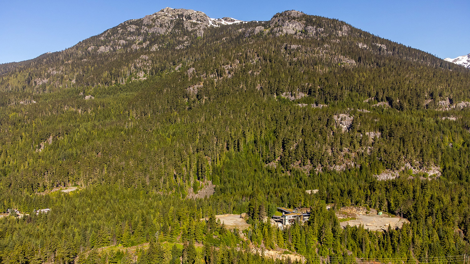 Whistler's Record Sale