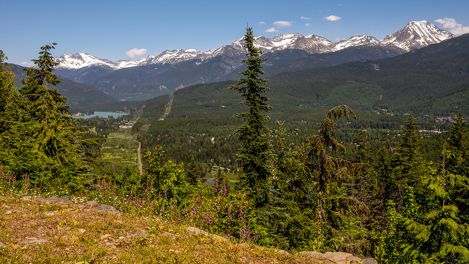 Whistler's Record Sale