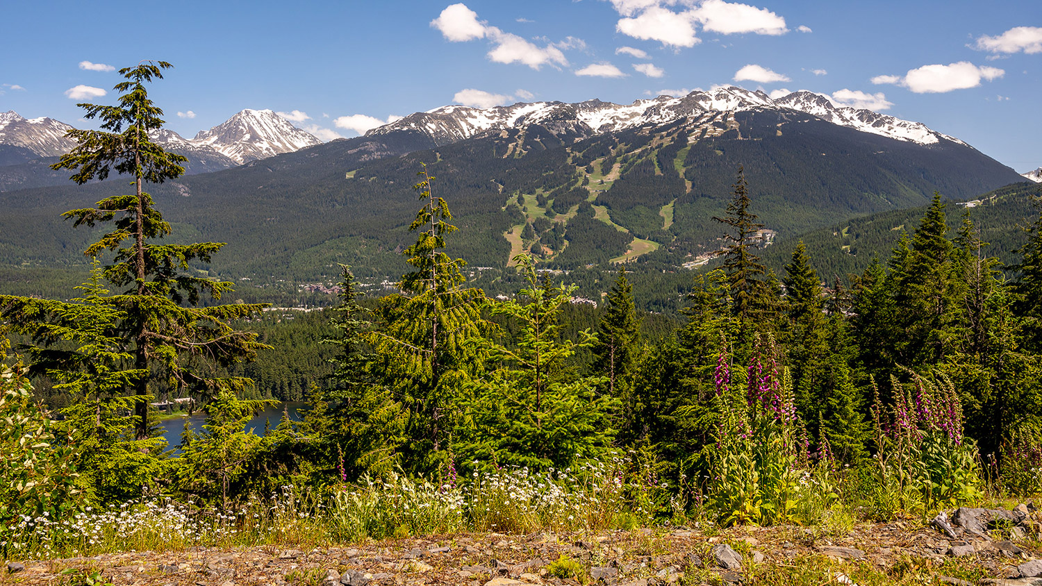 Whistler's Record Sale